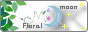 momo�����Floral Moon