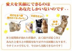犬のしつけ春川02
