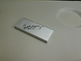 iPod