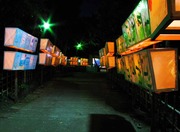 IMG_2659_1