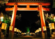 IMG_2838_1