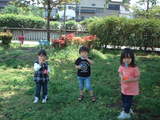 mayutyan