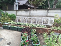 旧校舎校名