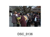 シール投票1