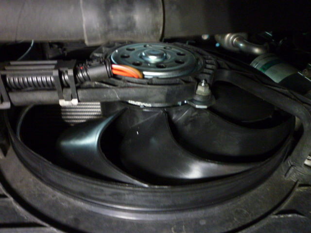 pic 2289
