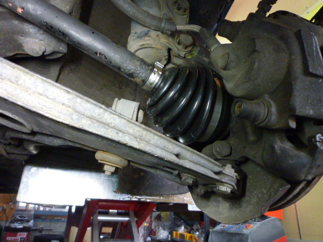 pic 2378