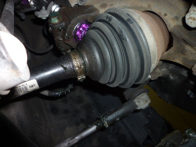 pic 2239