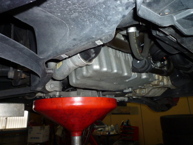pic 2234