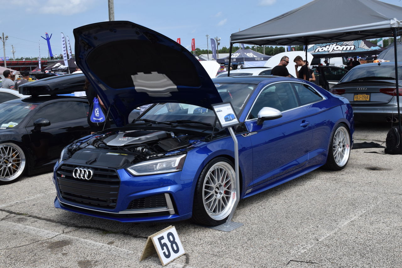 DSC_0248