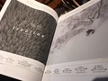 38372674.jpg