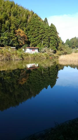 SHOPを沼から
