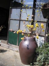 ec770298.jpg