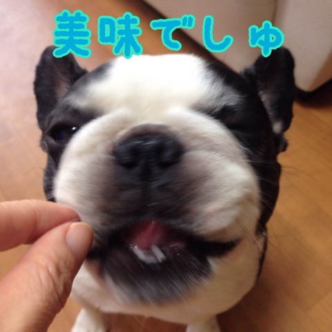 photo6 のコピー 2