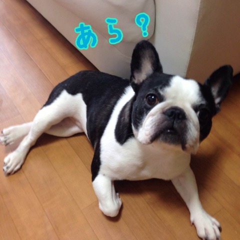 photo2 のコピー 3