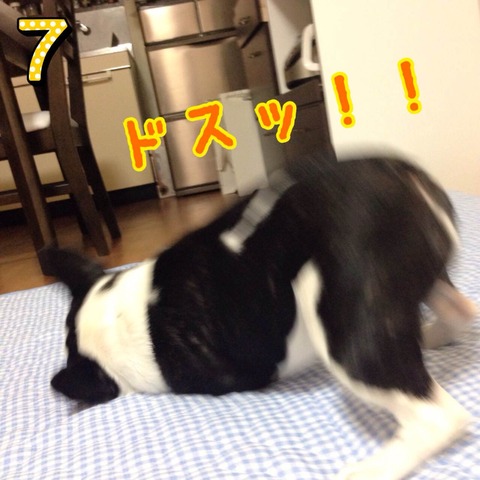 photo7 のコピー 2