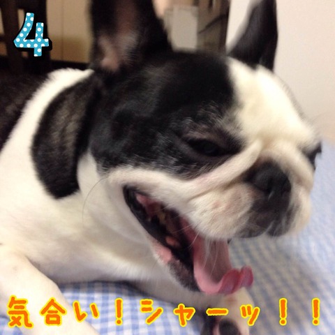 photo4 のコピー 3