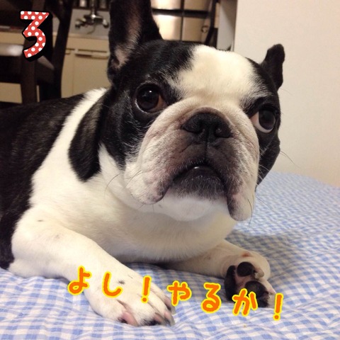 photo3 のコピー 3