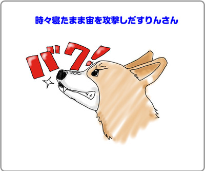rin_illust11072303
