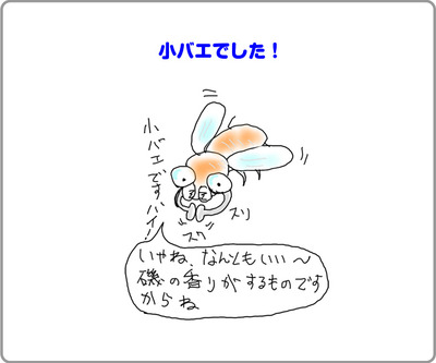 rin_illust11072307