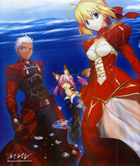 フェイト/エクストラ(限定版) 特典 Fate/the fact 盈月の書付き