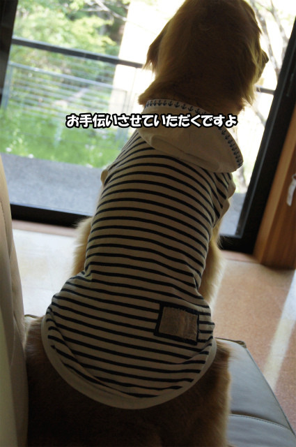 DSC01529