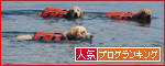 br_decobanner_20110917154704