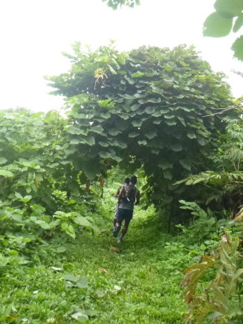 P1000593