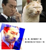 cf8a3f51.jpg