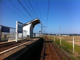d1151603.jpg