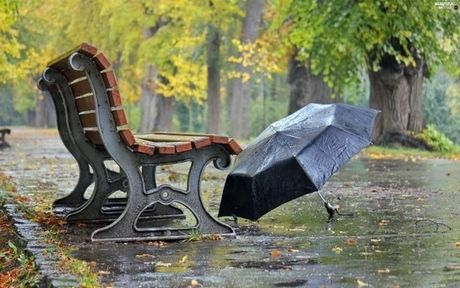 umbrella