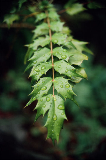 photobu2-8