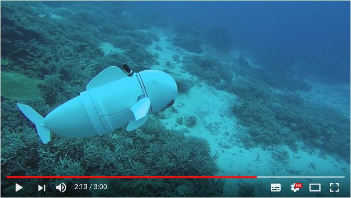 忍者の隠れ身の術ばりに擬態する魚ロボット『Sofi』 マサチューセッツ工科大学が動画を公開