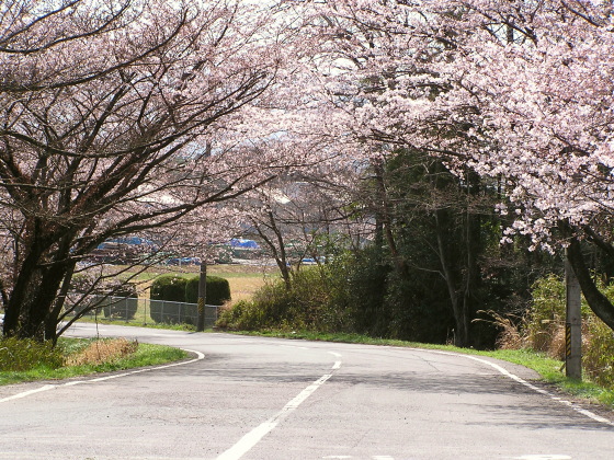 kameyama01