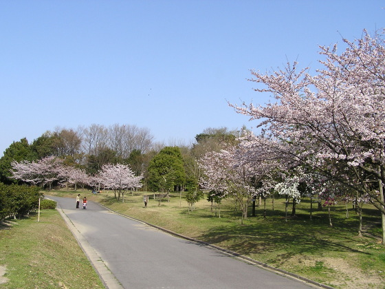 nanbu_park02
