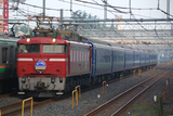 EF81_021