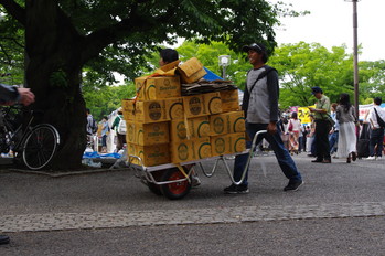 IMGP068p