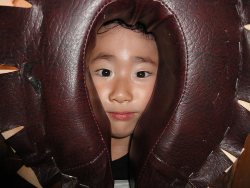 DSC05117