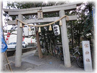 DSC03537