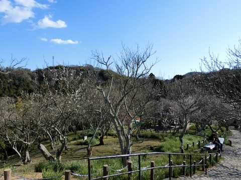 CIMG2479