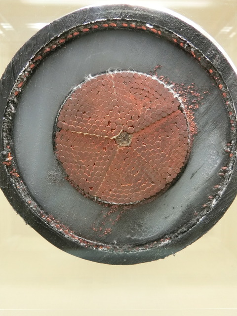 CIMG5368