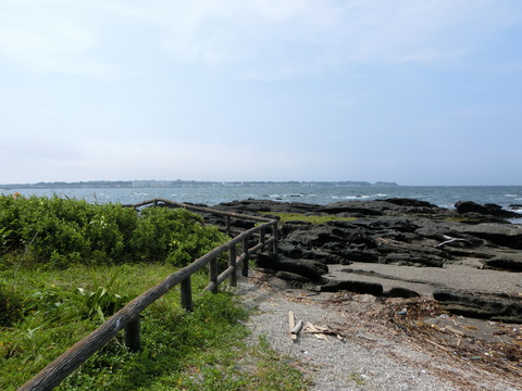 CIMG4629