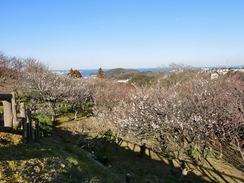 CIMG2498