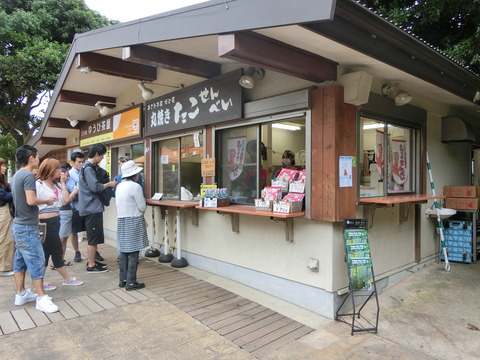 CIMG4415