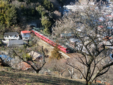 CIMG2475