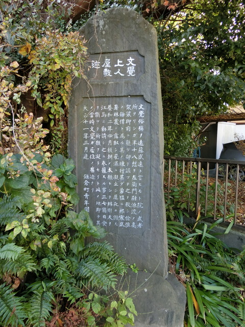 CIMG5832
