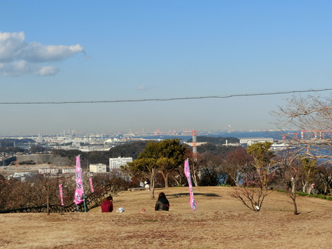 CIMG2503