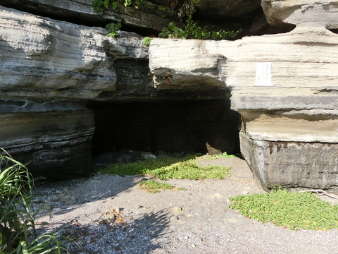 CIMG4574