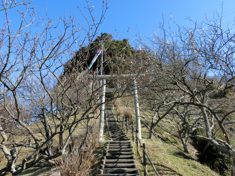 CIMG2469