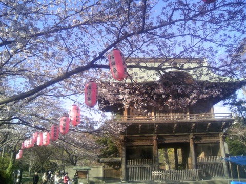 2009-04-02-16-24-47