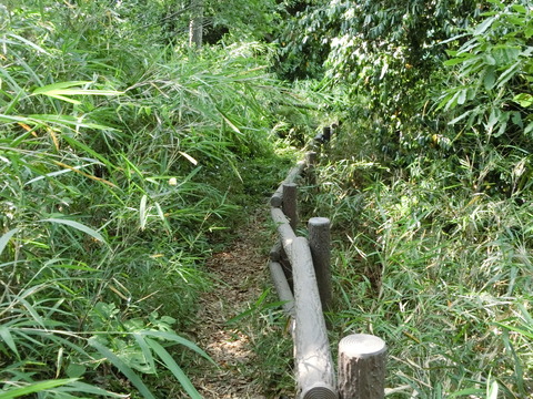 CIMG4081